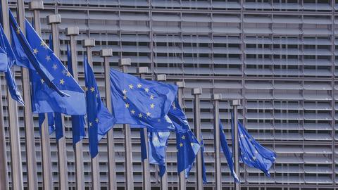 Europaflagge vor dem Europaparlament