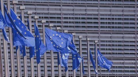 Europaflagge vor dem Europaparlament